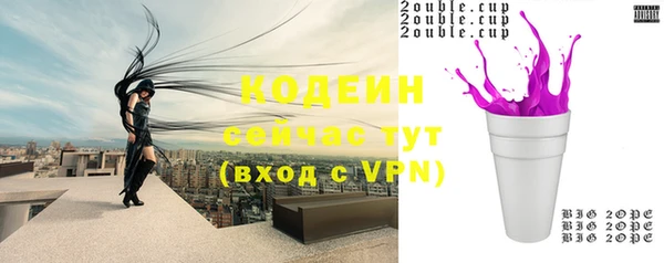 дурь Покачи