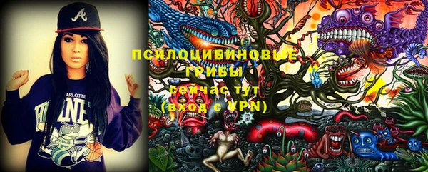 эйфоретик Покров