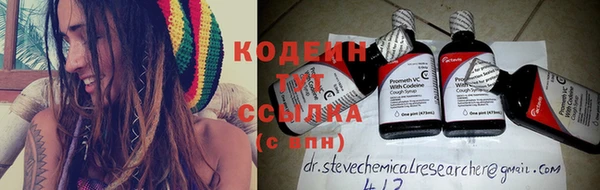 дурь Покачи