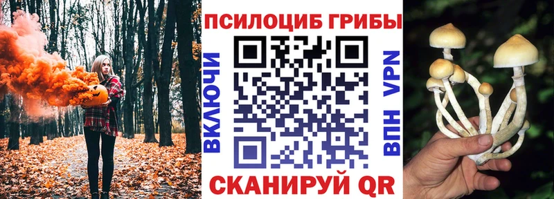 где купить наркоту  Тетюши  Галлюциногенные грибы MAGIC MUSHROOMS 